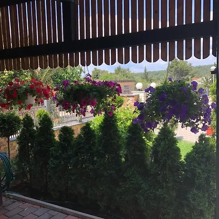 2 Ivankovic Stari Grad
