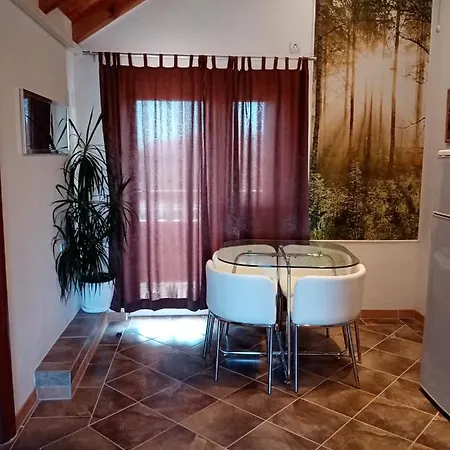 公寓 2 Ivankovic 斯塔里格勒